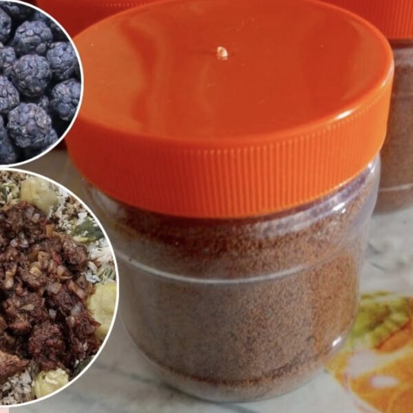Premium African Locust Bean Powder | Netetou | Soumbala | Dawadawa | Iru | Ogiri | 6 oz (70g) | 100% Natural | Strong Smell